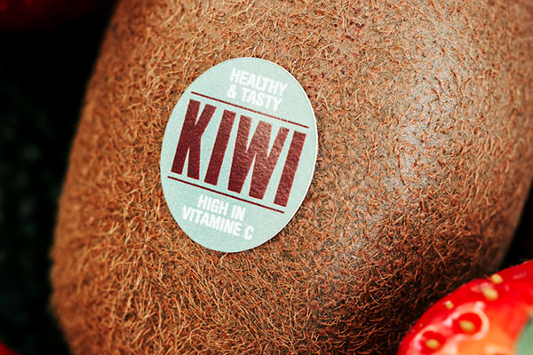 YungChi Custom Kiwi Sticker